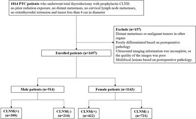 Ultrasonic Characteristics Improve Prediction of Central Lymph Node Metastasis in cN0 Unifocal Papillary Thyroid Cancer